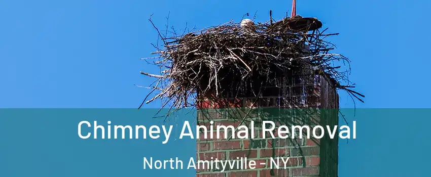  Chimney Animal Removal North Amityville - NY