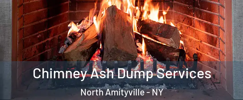  Chimney Ash Dump Services North Amityville - NY