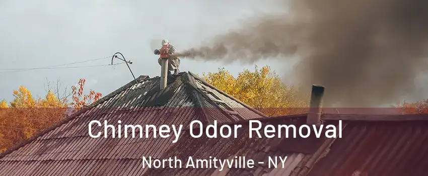  Chimney Odor Removal North Amityville - NY