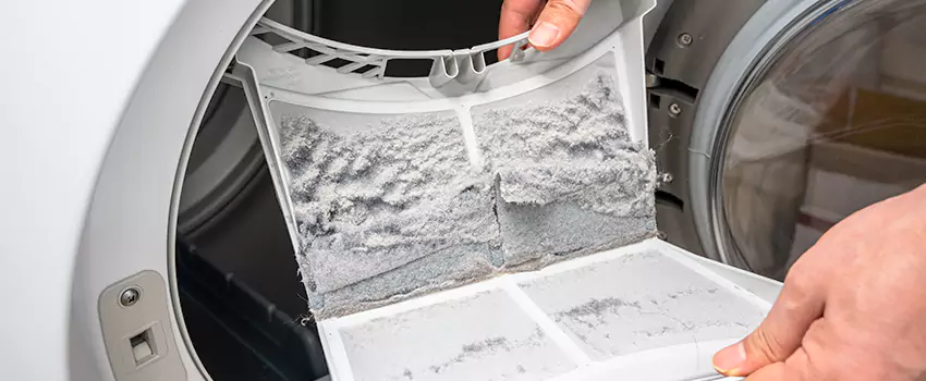 Best Dryer Lint Removal Company in North Amityville, New York