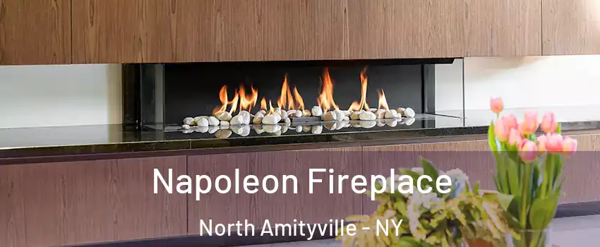  Napoleon Fireplace North Amityville - NY